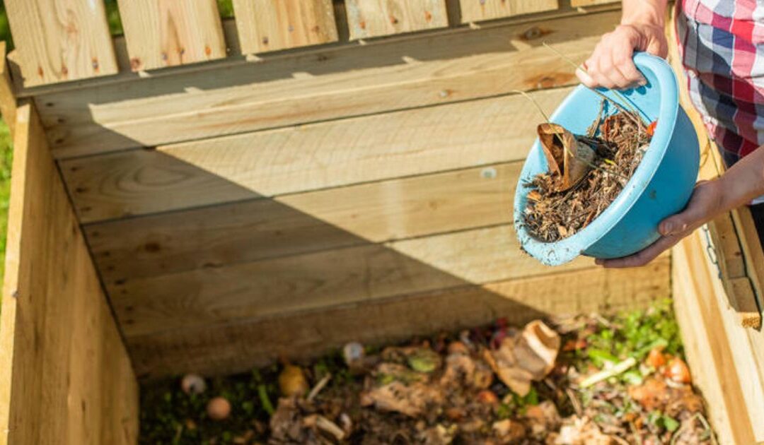 Compostage : la MEL lance quinze jours d’animations pour tout comprendre et se lancer