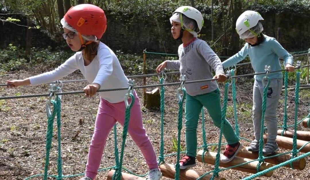 Accrobranche près de Lille : cinq spots pour grimper à l’aventure à moins de 30 minutes